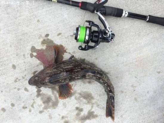 �����ʥ�