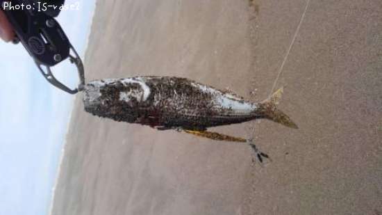 ���Υ���