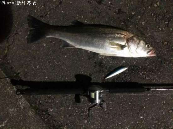 �����Х�