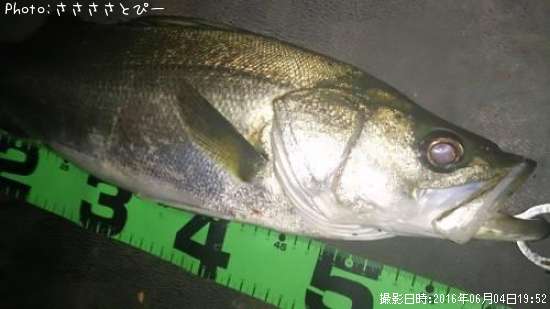 �����Х�����Х�