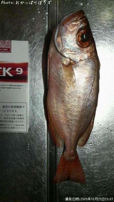 ����ȥ�����