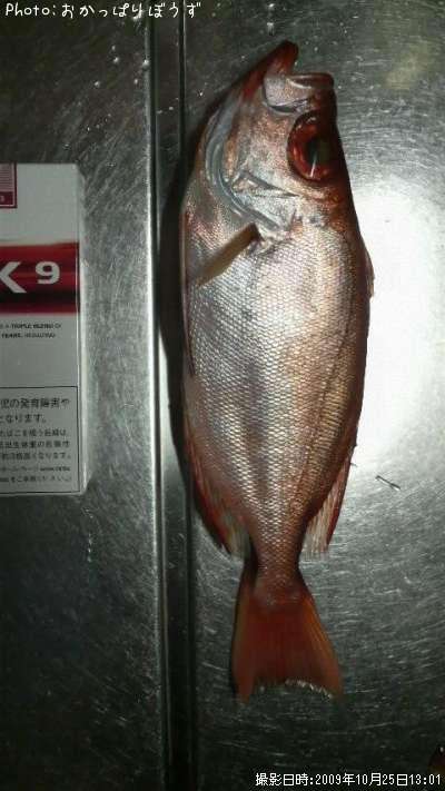 ����ȥ�����