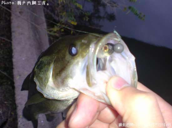 �֥�å��Х�