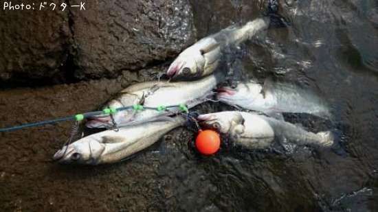 �����Х�