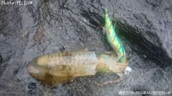 �����ꥤ��