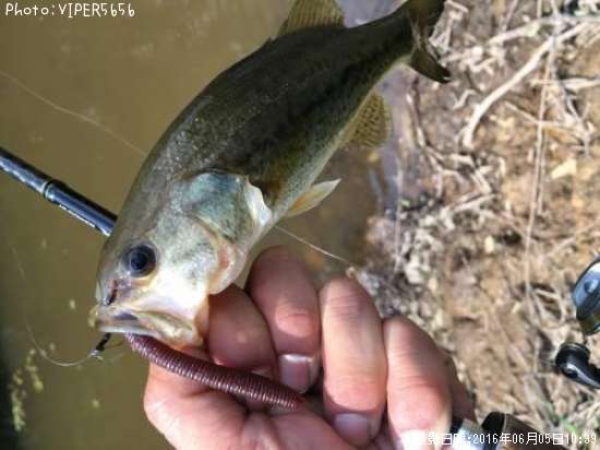 �֥�å��Х�