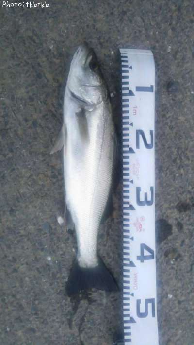 �����Х�