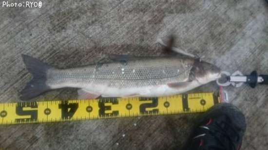 �ޥ륿������