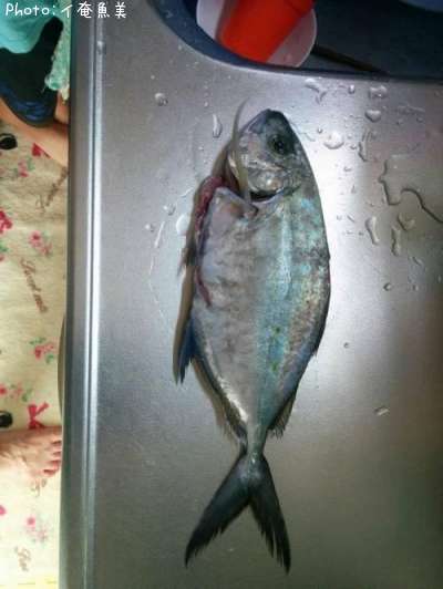 �����ߥ���