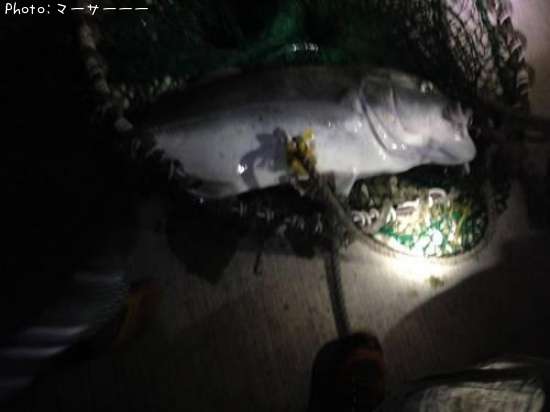 �����˥󥢥�