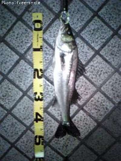 �ӣ��£���