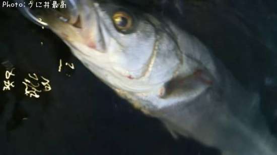 �����Х�