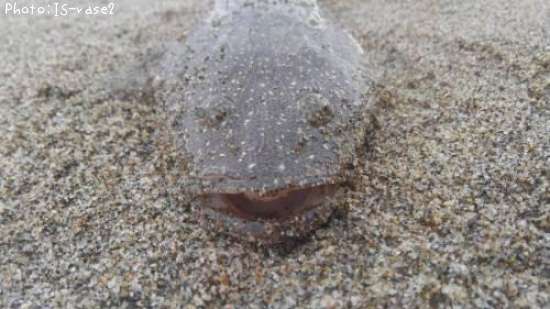 �ޥ���