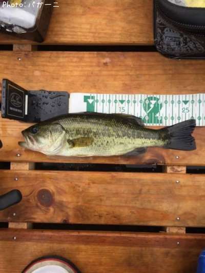 �֥�å��Х�