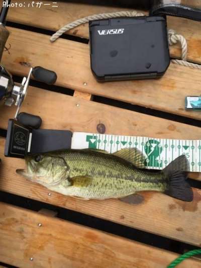 �֥�å��Х�