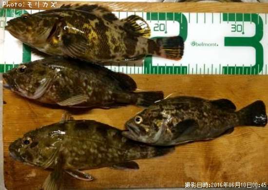 �����Υ���Х�