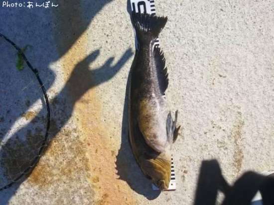 �����ʥ�