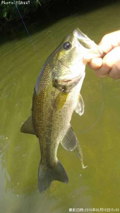 �֥�å��Х�