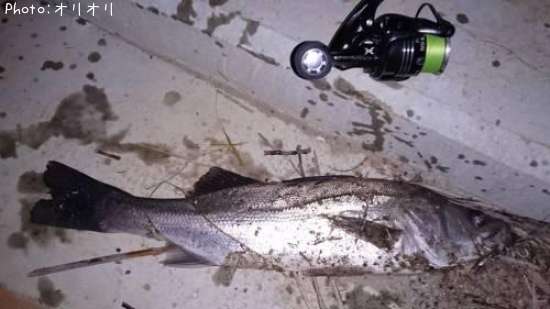 �����Х�