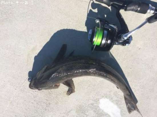 �����ʥ�