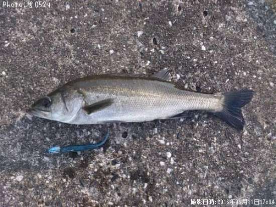 �������Х�