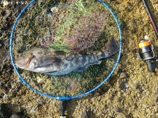 �����ʥ�