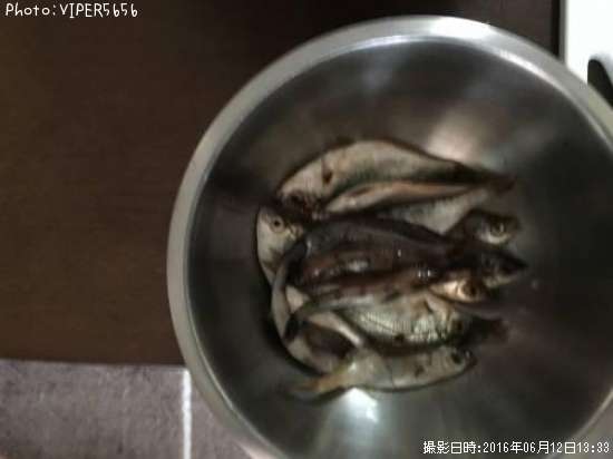 ���ʥ����ϥ�����������