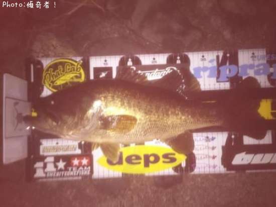 �֥�å��Х�