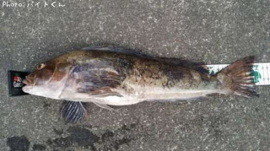 �����ʥ�