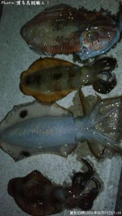 �����ꥤ�������ߥʥꥤ��