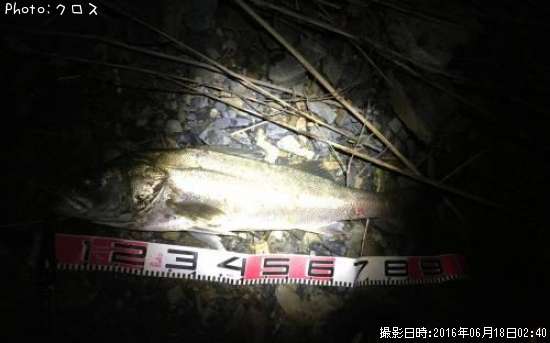 �����Х�