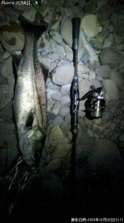 �����Х�