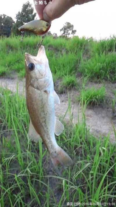 �֥�å��Х�