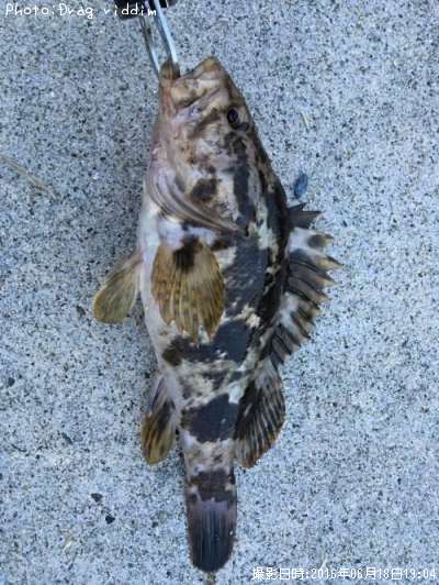 �����Υ���Х�