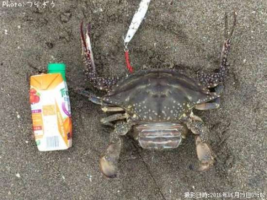 �����ˡ�