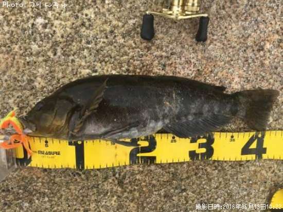 �����ʥ�