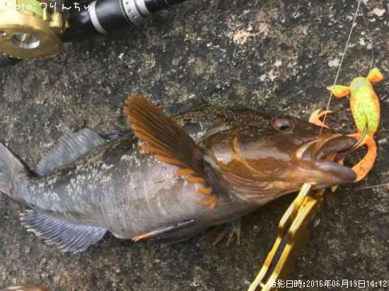 �����ʥ�