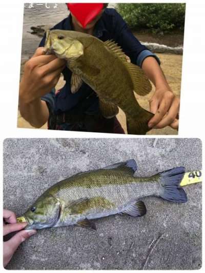 �֥�å��Х��ʥ��⡼��Ǥ�����