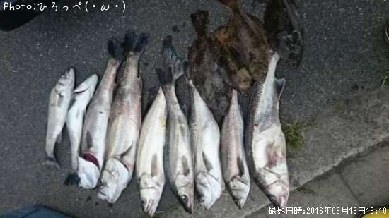 �����Х�