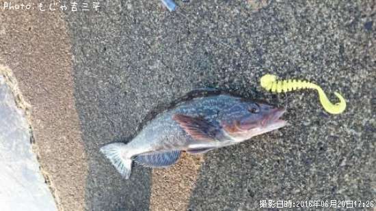 �����ʥ�