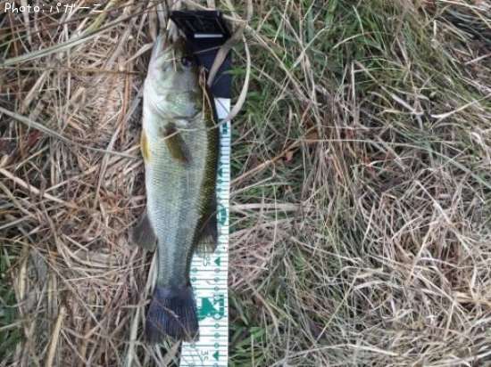 �֥�å��Х�