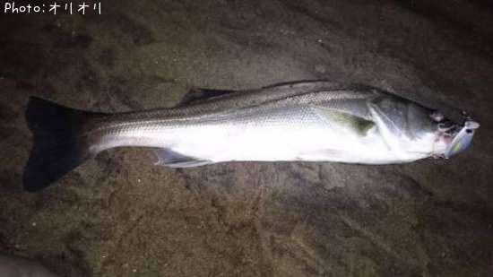 �����Х�