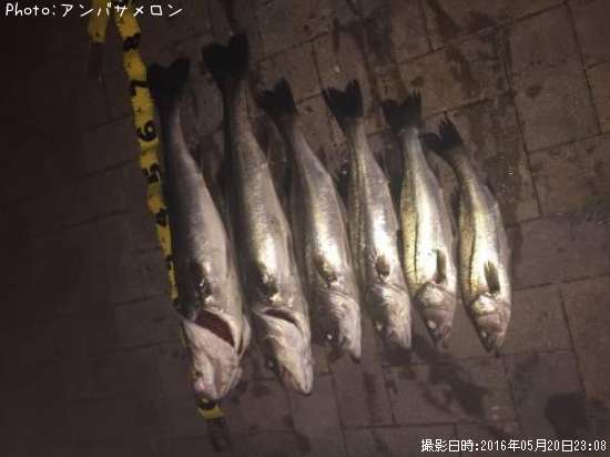 �����Х�