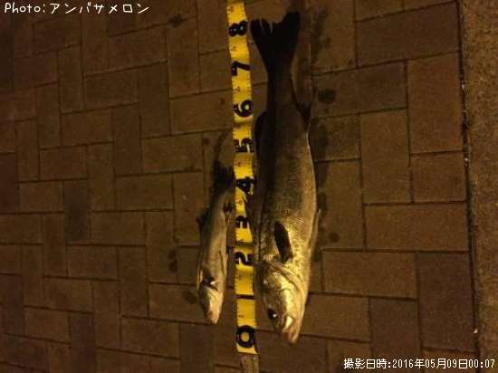 �����Х�