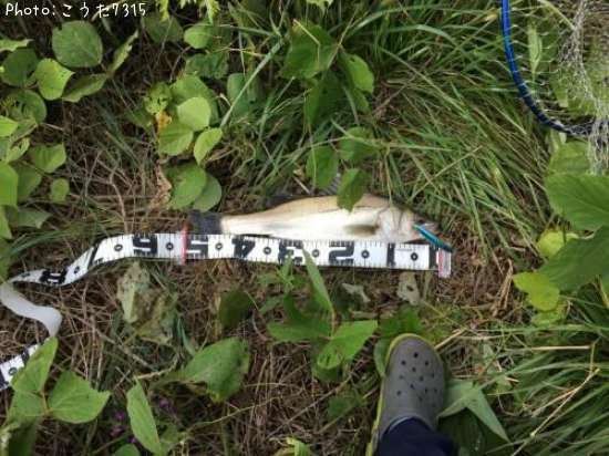 �����Х�