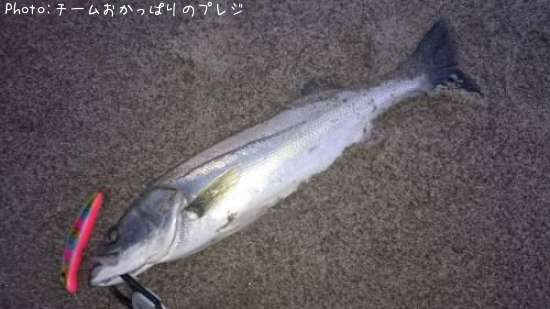 �����Х�