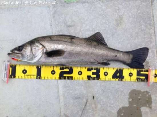 �����Х�