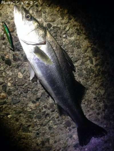 �����Х�