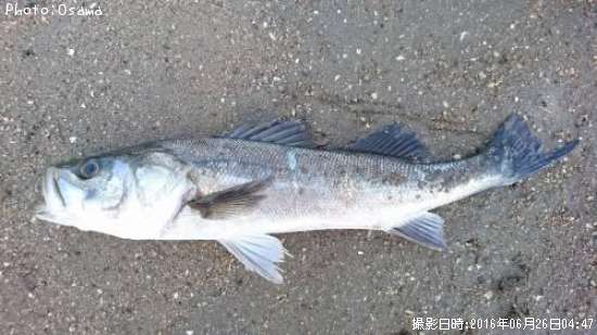 �����Х�