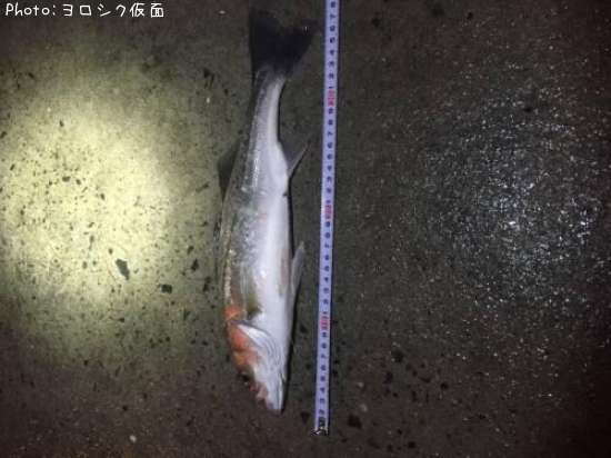 �����Х�